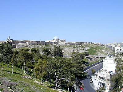 Amman acropolis from east