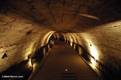 A dimly lit tunnel with a wide wooden walkway.