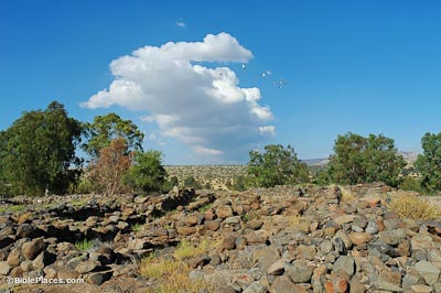 Piles of brick-size rocks next to low rock walls in a rectangular shape with trees in the background and a beautiful sky with clouds