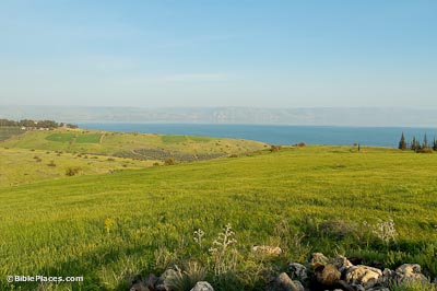 Vibrant, green, rolling hills overlooking the Sea of Galilee with mountains in the distance beyond the sea