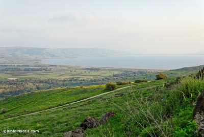 A grassy slope with scattered bushes leading down to a plain and the Sea of Galilee.