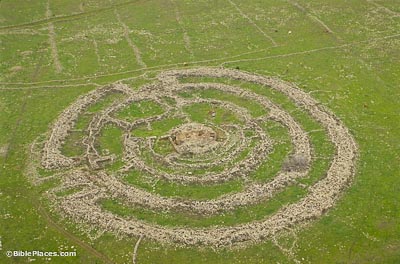 View from airplane of four concentric circles made of mounded stones in a flat grassy area