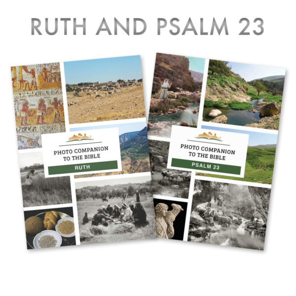 Ruth and Psalm 23 Photo Companion