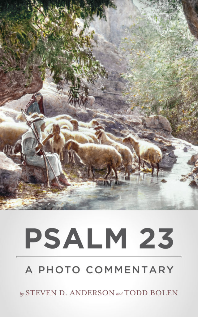 Psalm 23 A Photo Commentary BiblePlaces